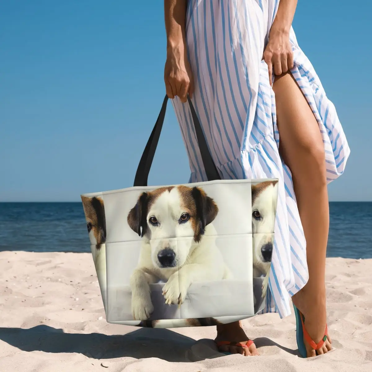 Yoga Fitness Photos - Hond Jack Russell Terrier Foto Strandtas
