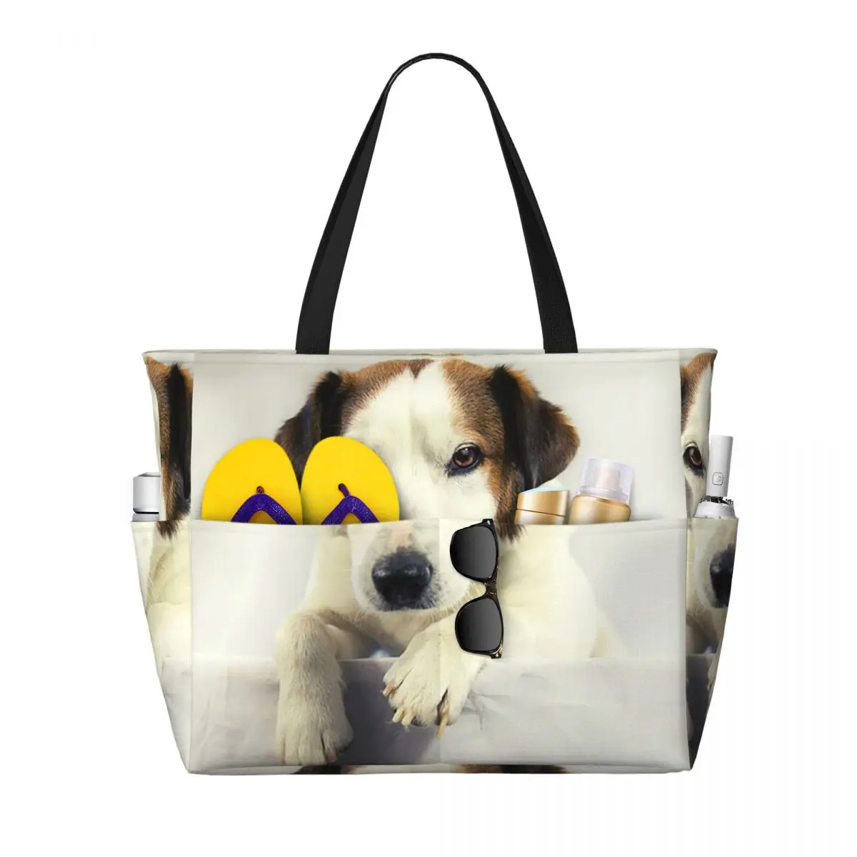 Hond Jack Russell Terrier Foto - Yoga Fitness Photos recensie en prijs