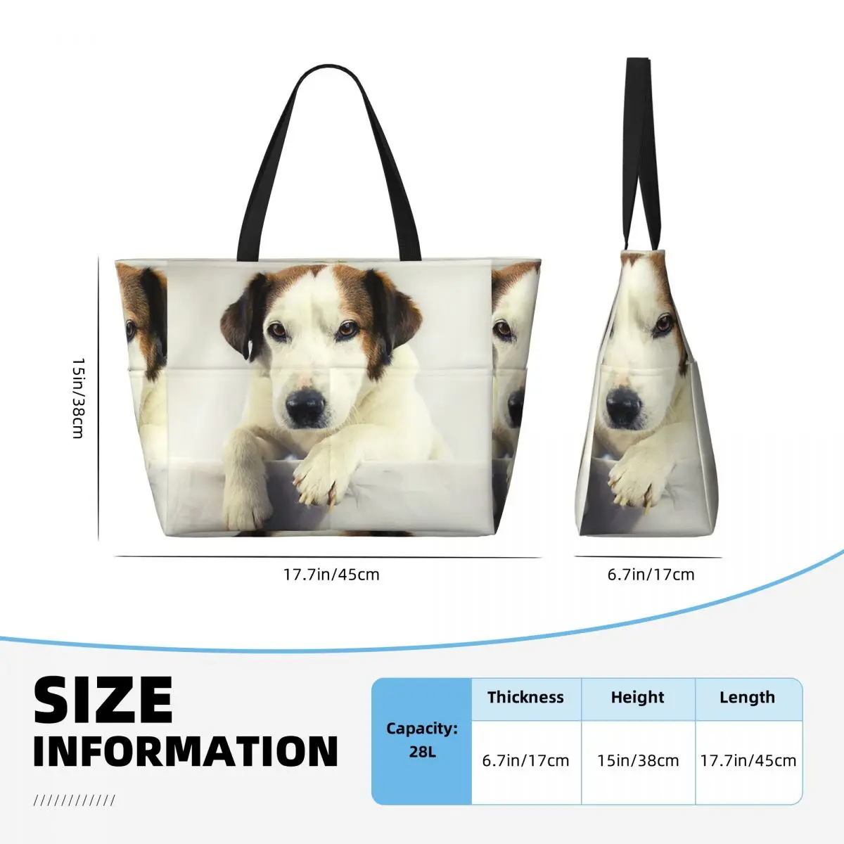Hond Jack Russell Terrier Foto - Yoga Fitness Photos recensie en prijs